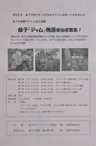 IMAGE1