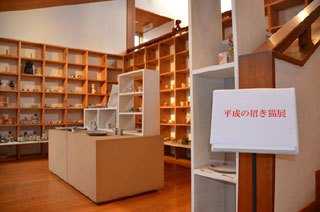 IMAGE1