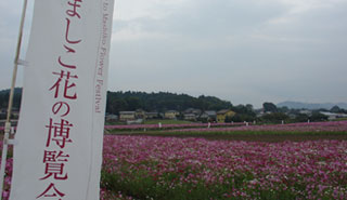IMAGE1